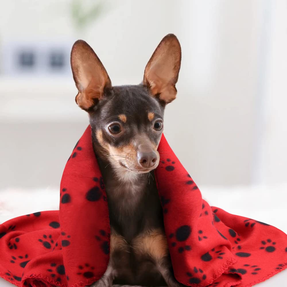 EAGMAK paw-prints blanket white adds bright, clean look for pet spaces.