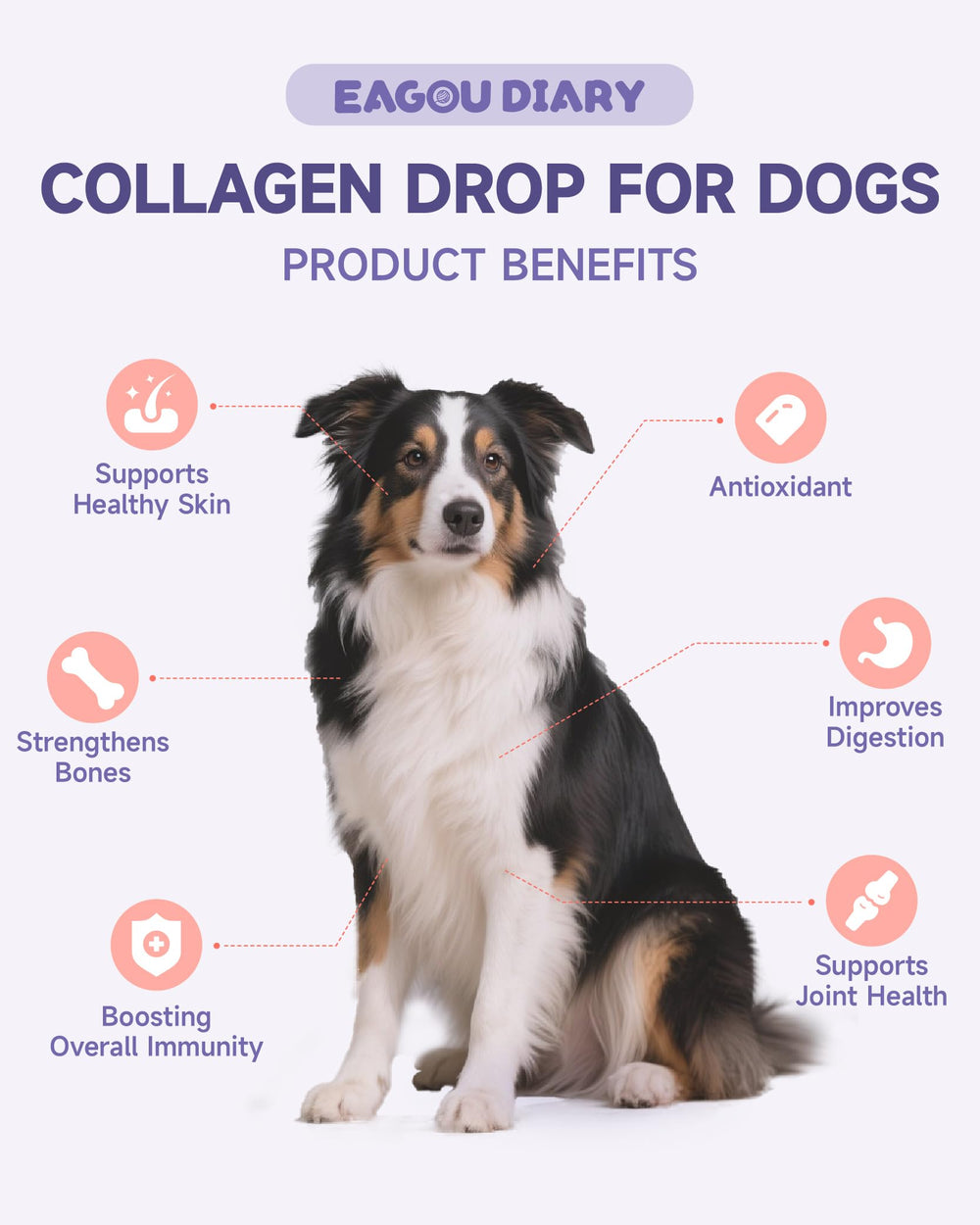 Eagou Diary dog collagen drops roast chicken flavor entices dogs to take a nourishing daily dose.