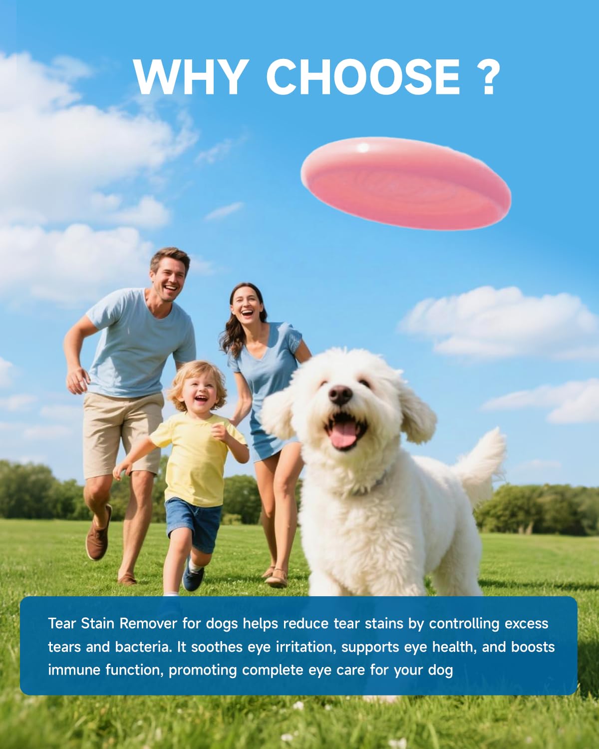 Eagou Diary tear-stain solution for white dogs supports clean coats and confidence.