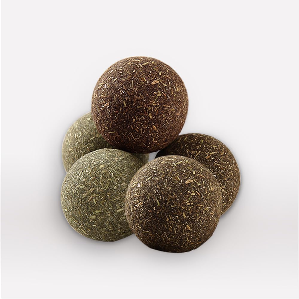 Eaireys catnip ball for indoor cats promotes safe, interactive entertainment