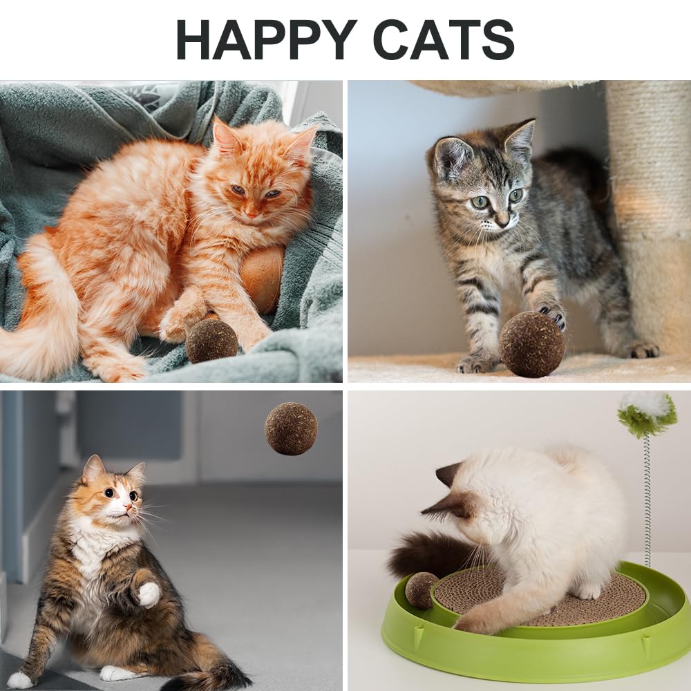 Eaireys catnip ball in use shows engaging play that encourages movement