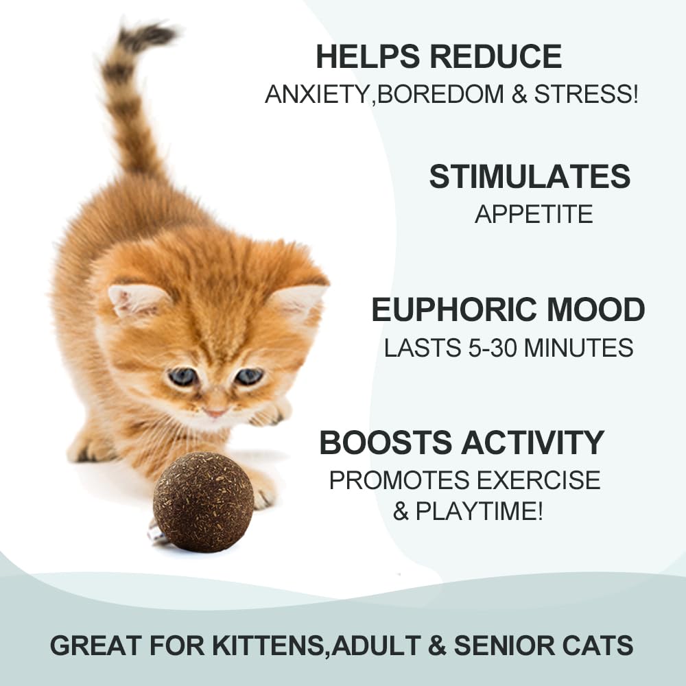 Eaireys catnip ball set top view demonstrates interactive fun and exercise potential