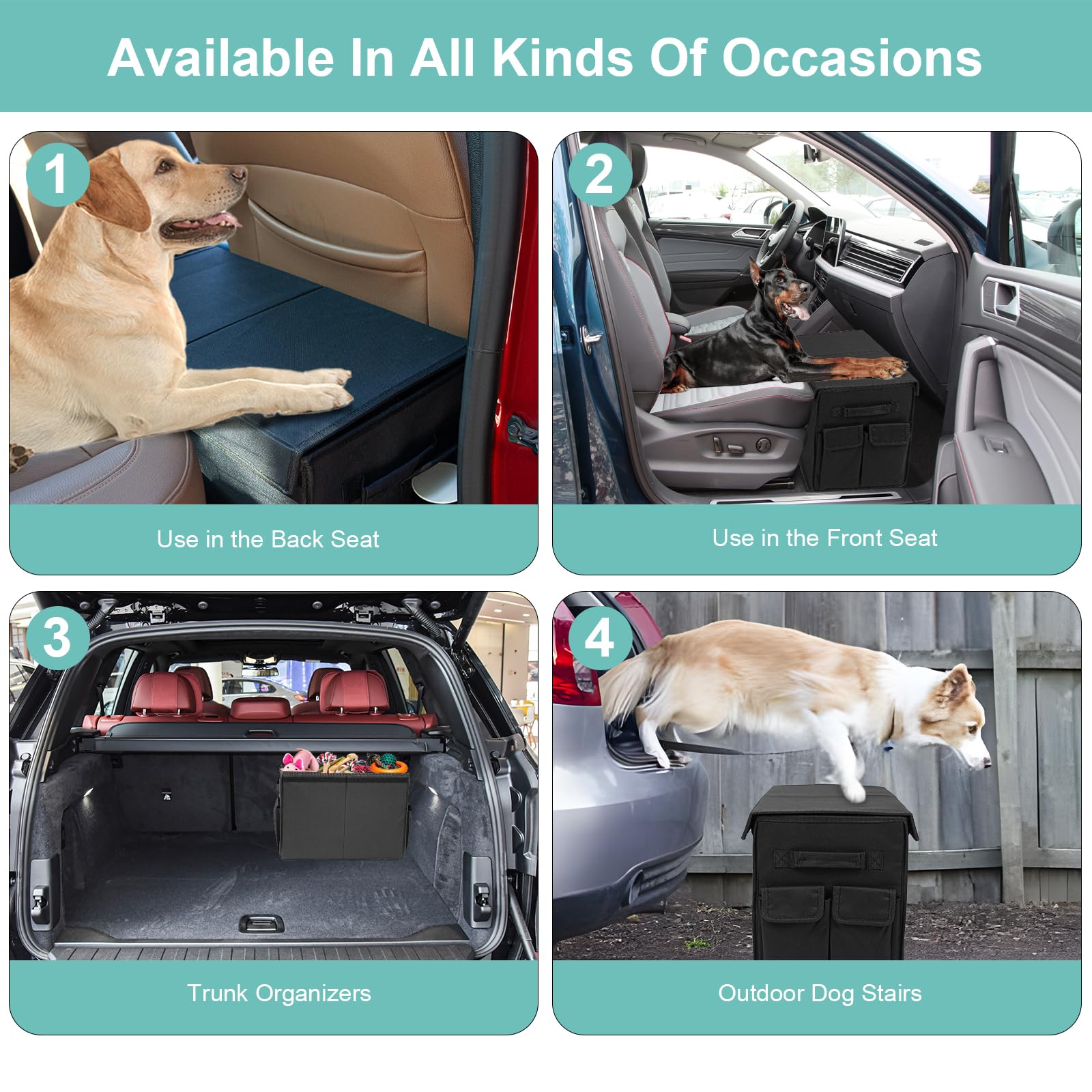 EAROND dog-friendly comfort shown as a dog rests peacefully during the drive.