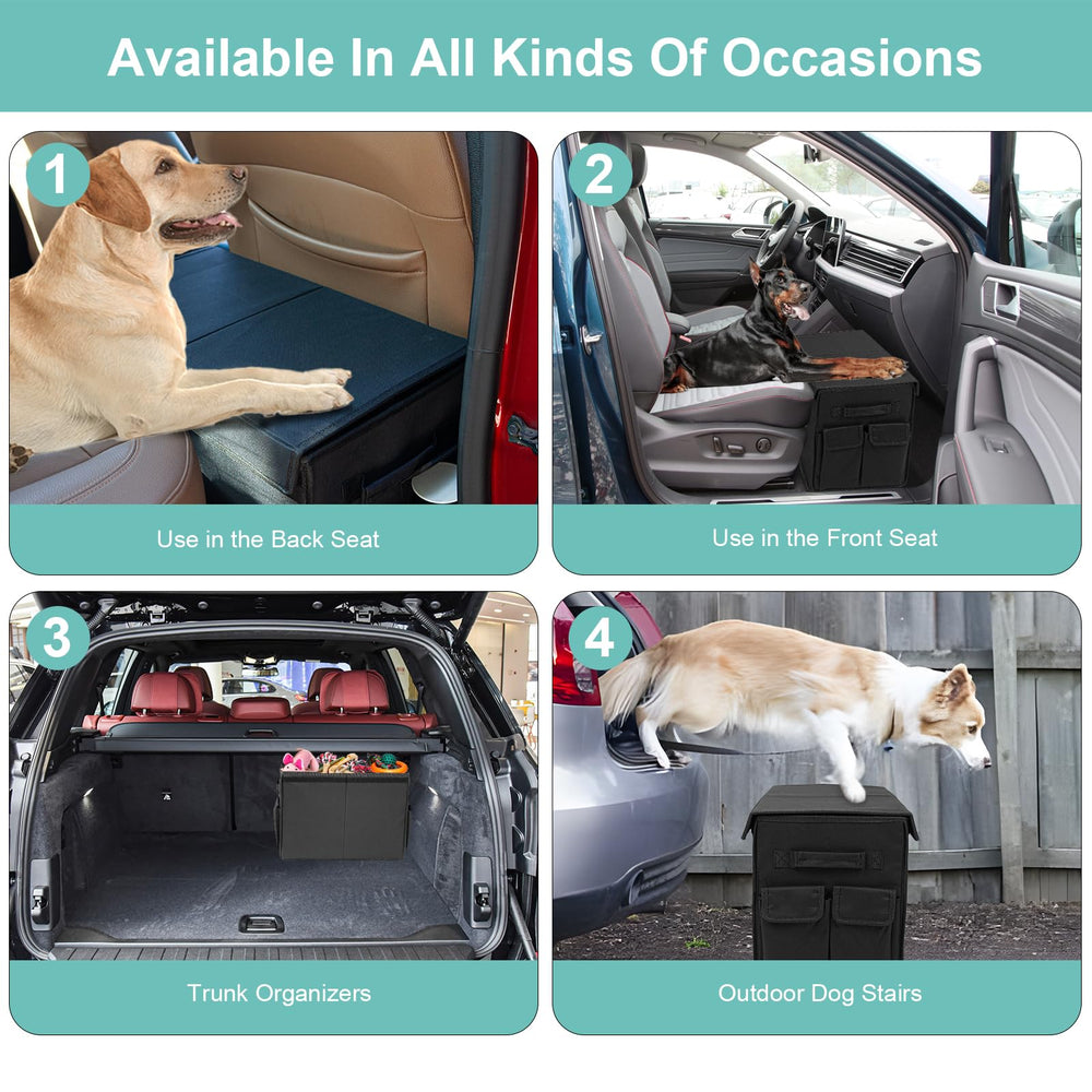 EAROND dog-friendly comfort shown as a dog rests peacefully during the drive.