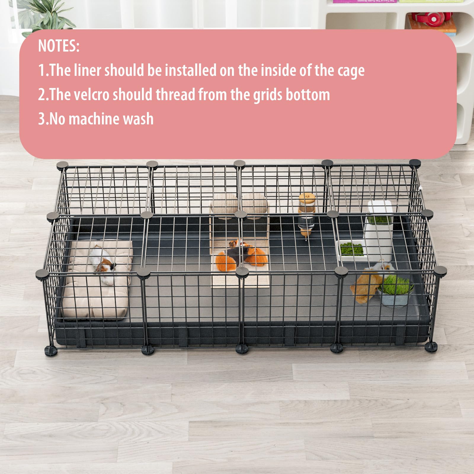 EAROND indoor-outdoor use demonstration for flexible pet environments and versatility.