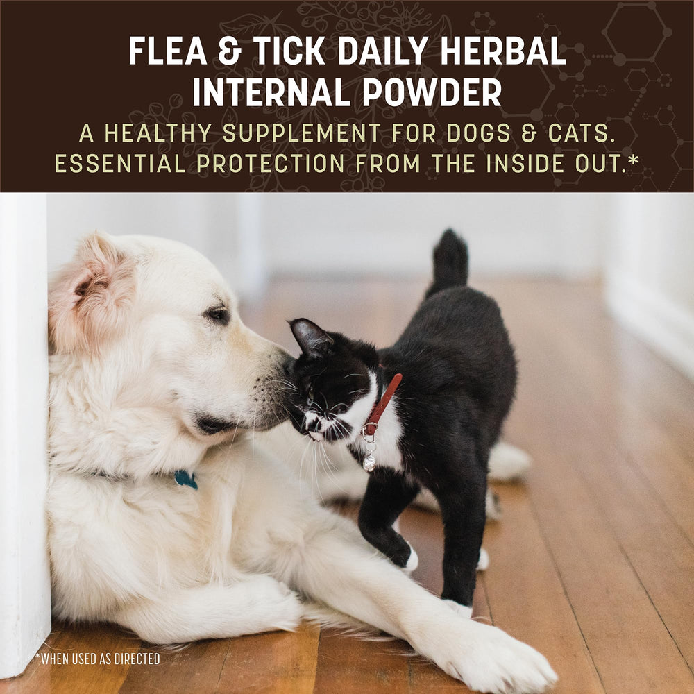Earth Animal Apothecary daily internal powder texture reveals a fine herbal blend for daily use.