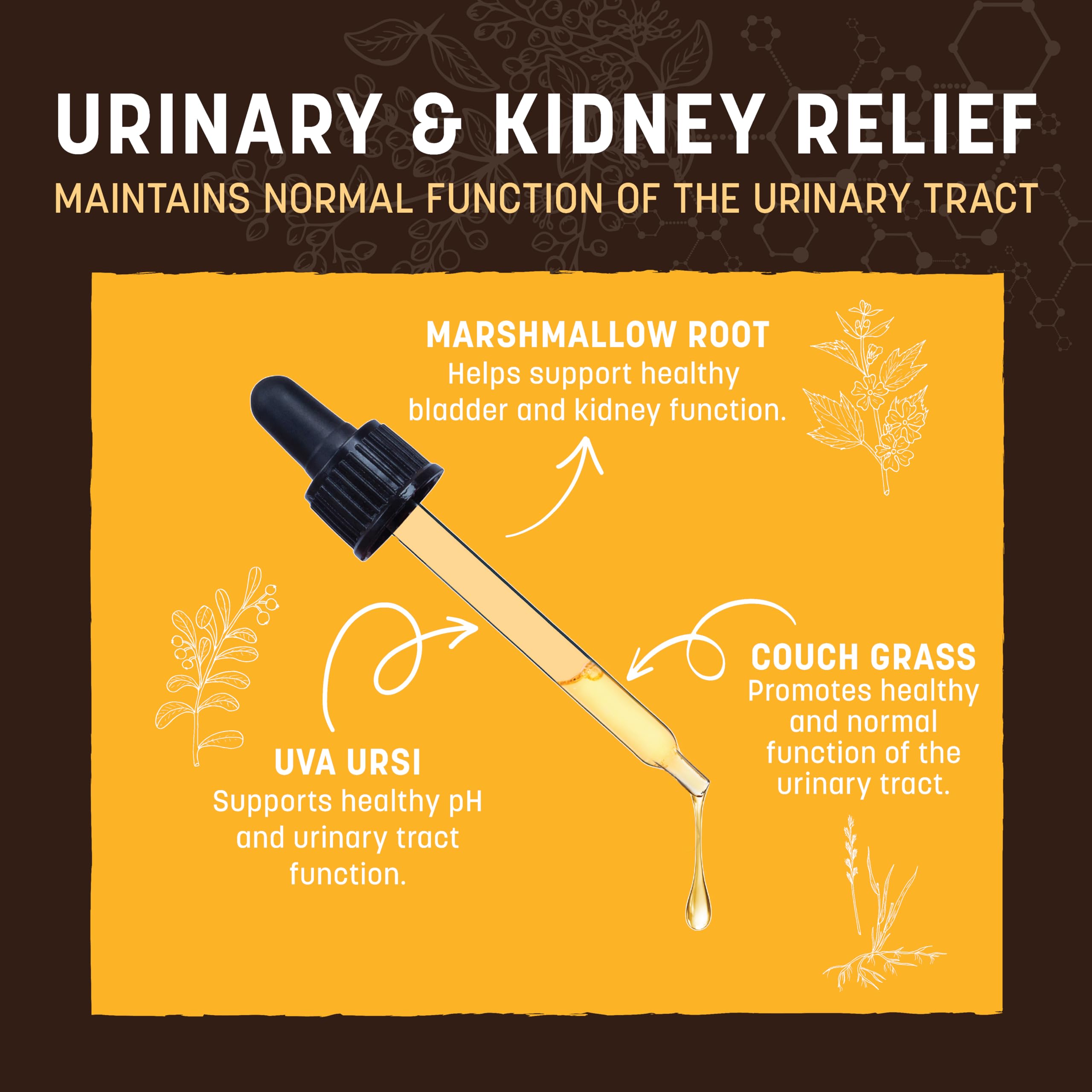 Earth Animal Apothecary liquid supplement dropper-use demonstrates easy dosing for pets.