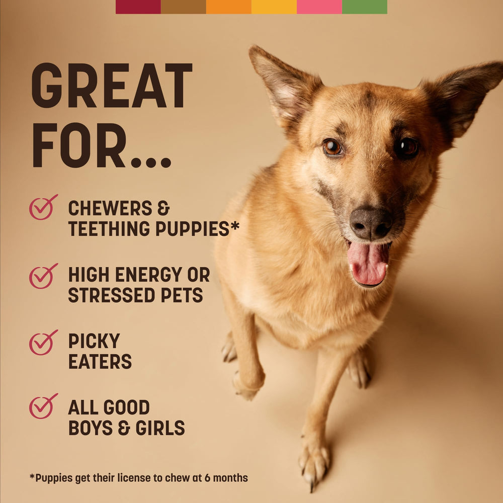 Earth Animal No Hide Chews six-piece pack; easy daily treat.