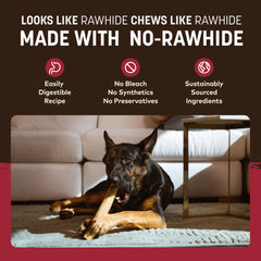 Earth Animal No Hide Chews dog enjoying chew—great for big dogs with routines.