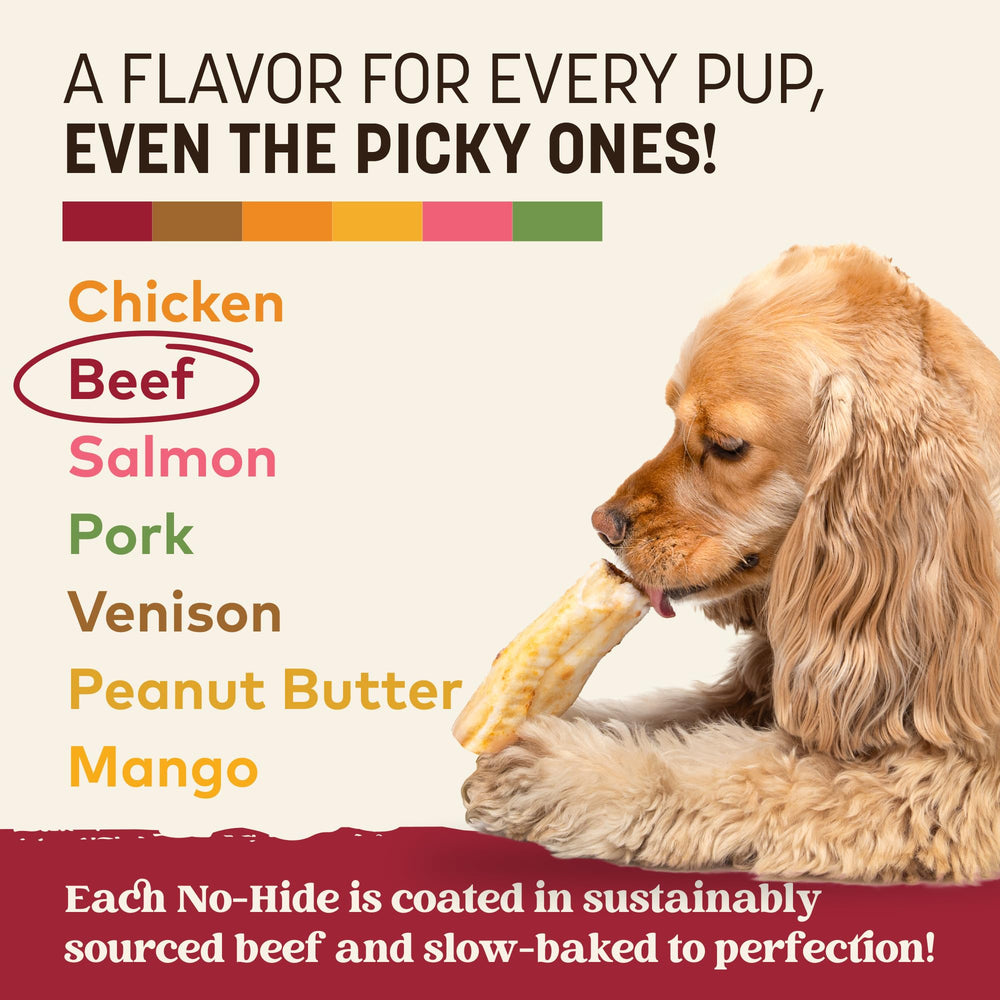 Earth Animal No Hide chew in mouth – easier on your pup's stomach than rawhide.