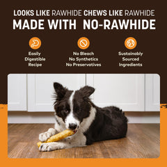Earth Animal No Hide Chews for medium dogs, supports focused chew sessions.