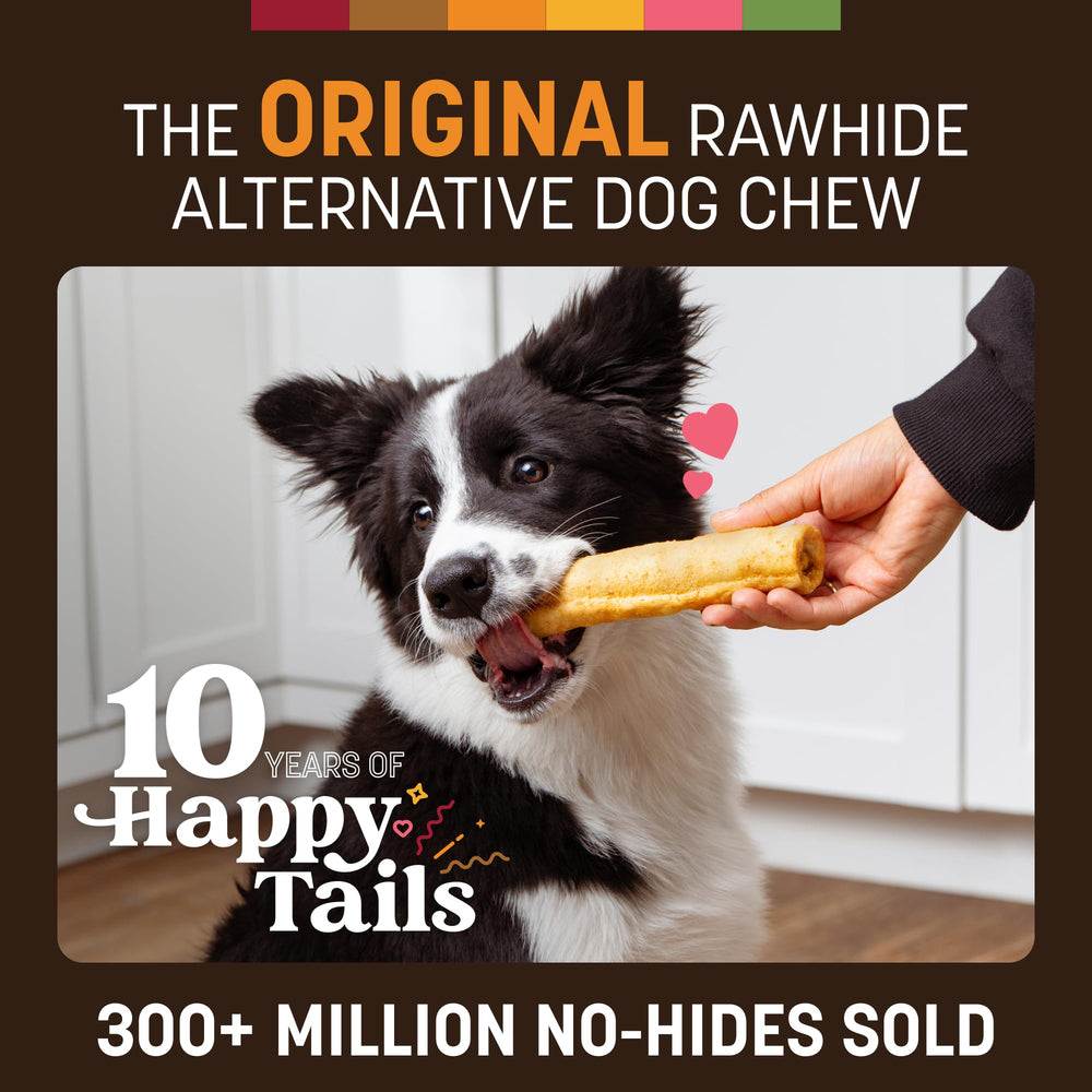 Earth Animal No Hide Chews 2-count pack ready for chew-time sessions.