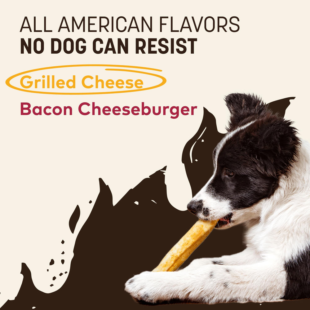 Earth Animal No Hide Chews grill-rolls packaging emphasizing grilled cheese flavor.