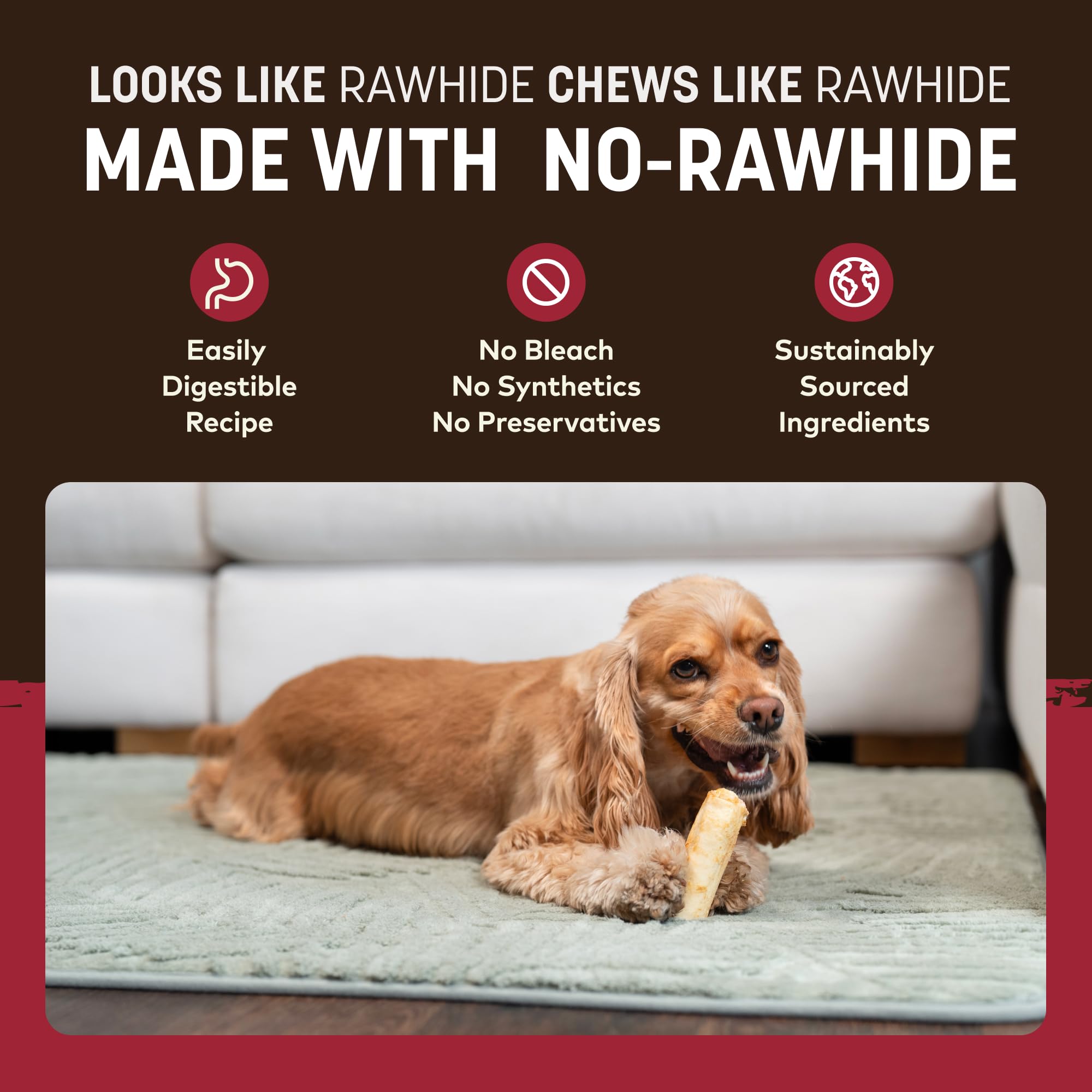 Earth Animal No Hide Chews USA-made label visible on packaging.
