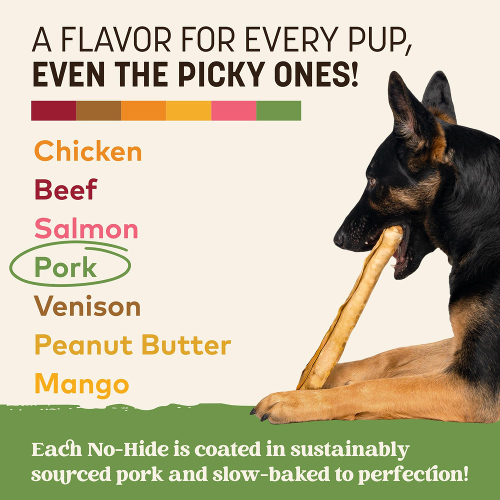 Earth Animal No Hide Chews Rolls dog chewing action demonstrates safe, rawhide-free entertainment.