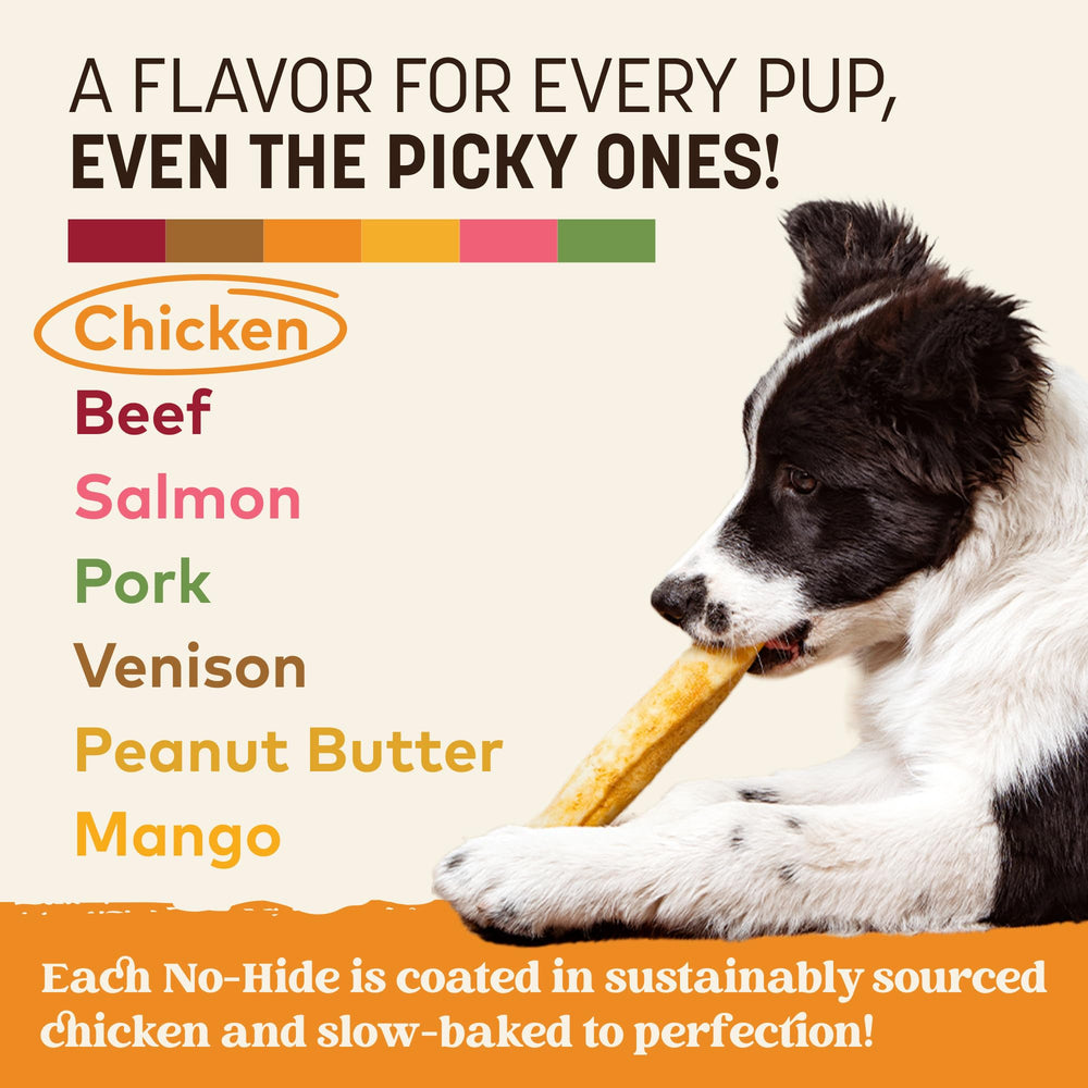 Earth Animal No Hide Chews safety testing seal visible