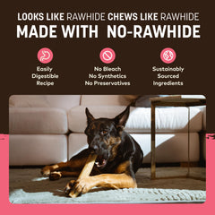 Earth Animal No Hide Salmon Rolls ready-for-dog chew scenario in living room