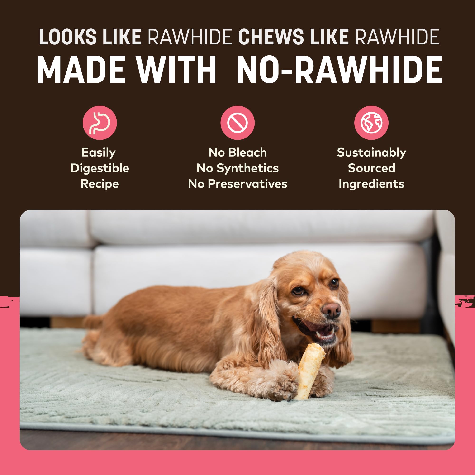 Earth Animal No Hide Chews Salmon Rolls in small dog mouth during chew time.