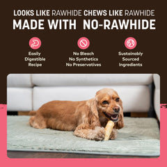 Earth Animal No Hide Chews Salmon Rolls in small dog mouth during chew time.