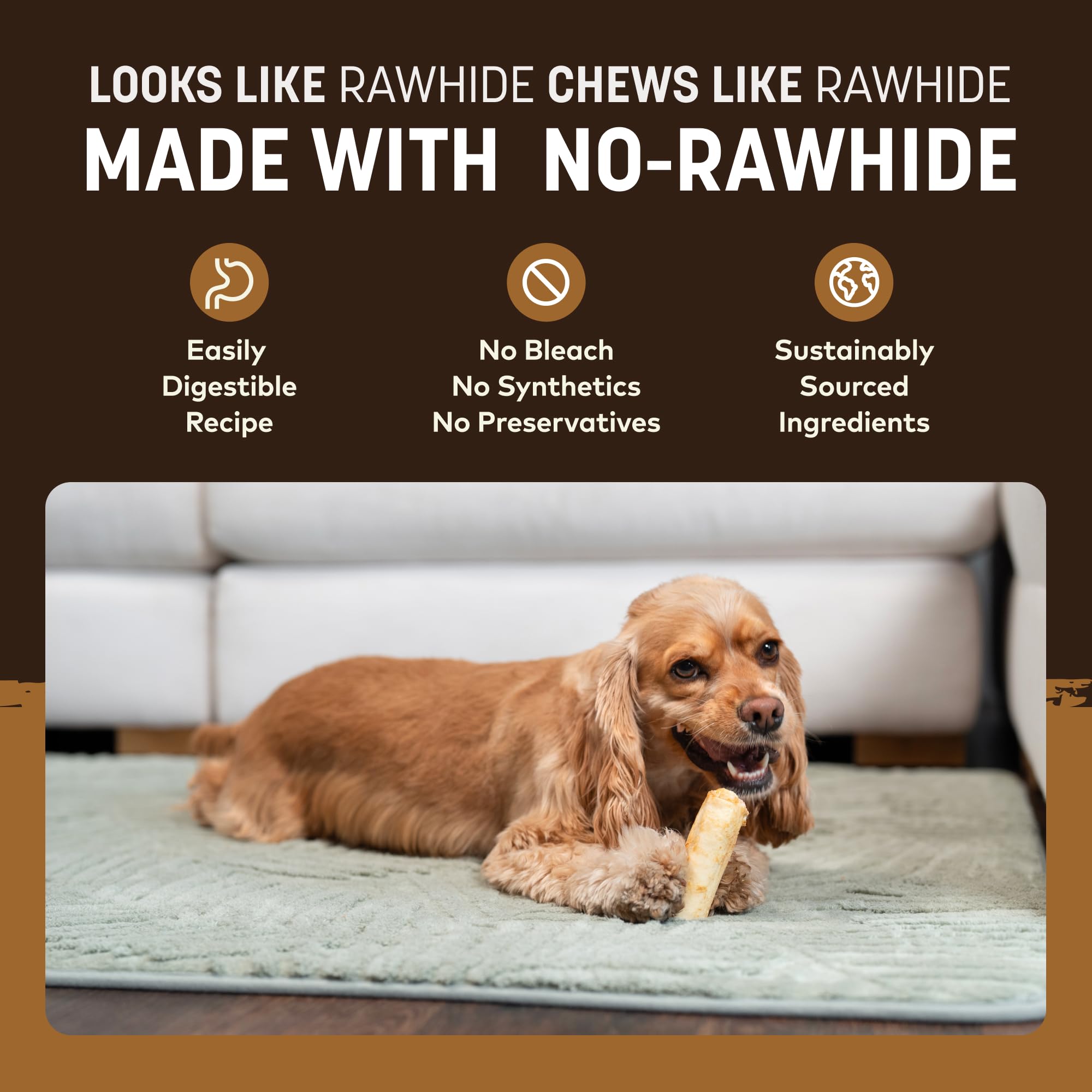 Earth Animal No Hide Chews small dog enjoying chew during playtime.