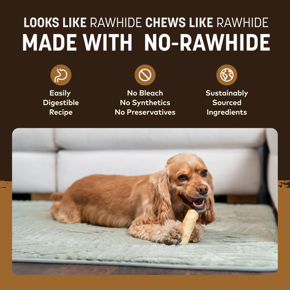 Earth Animal No Hide Chews small dog enjoying chew during playtime.