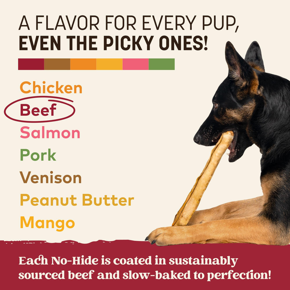 Earth Animal No Hide Rolls 70+ lb dogs ideal size shown in action.