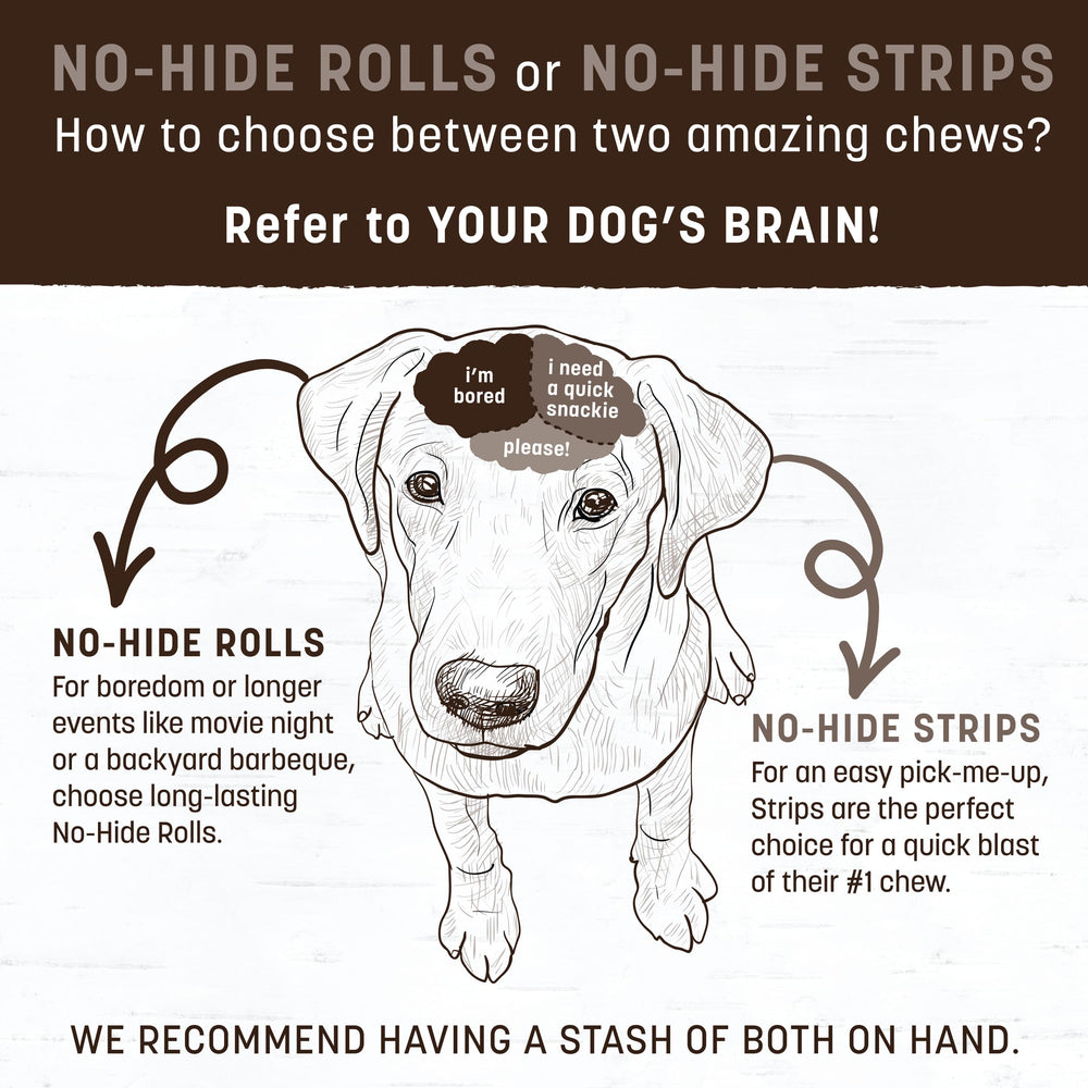 Six-pack No-Hide Rolls value pack, ideal for regular chew sessions.