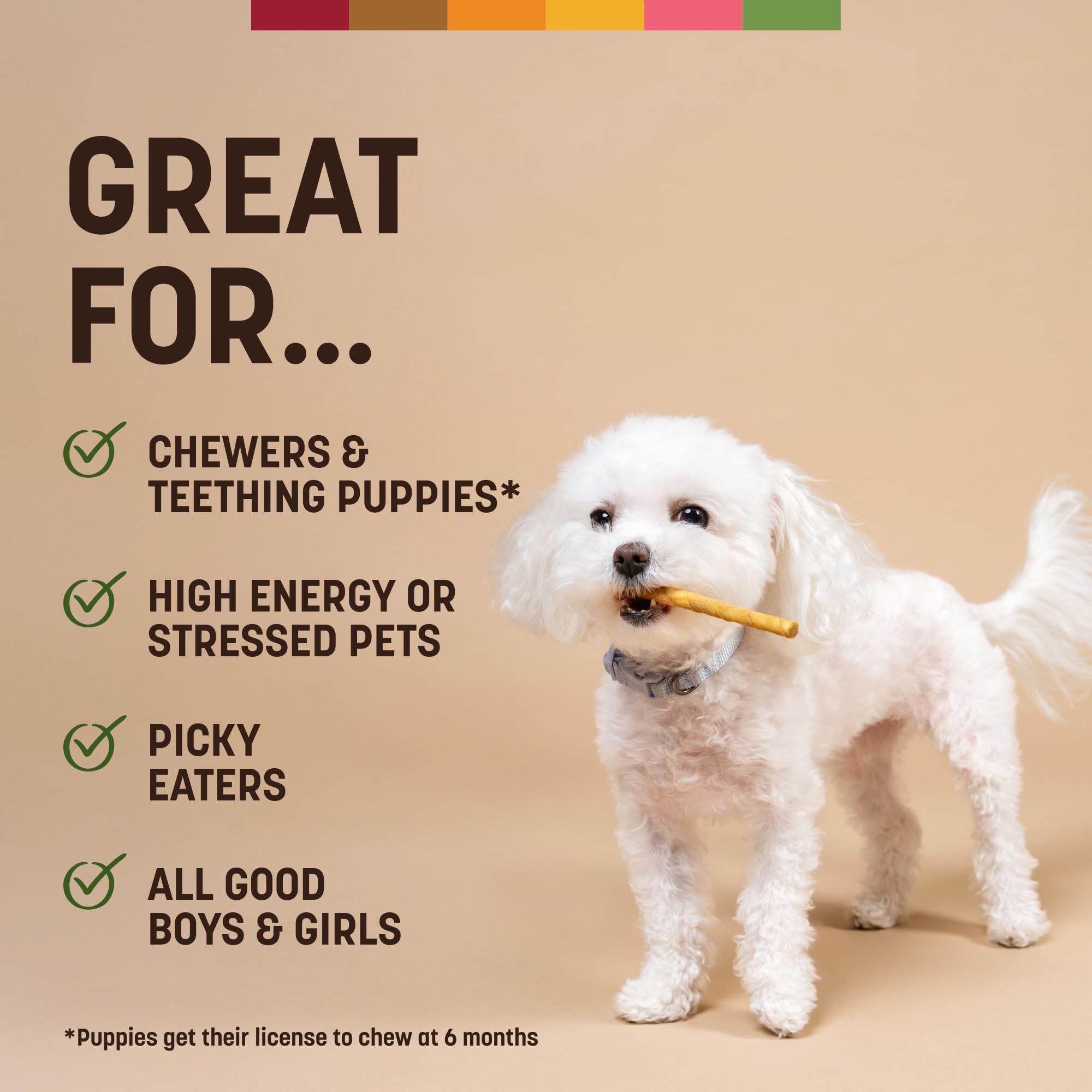 Earth Animal No Hide Stix dog chewing in action for mindful play