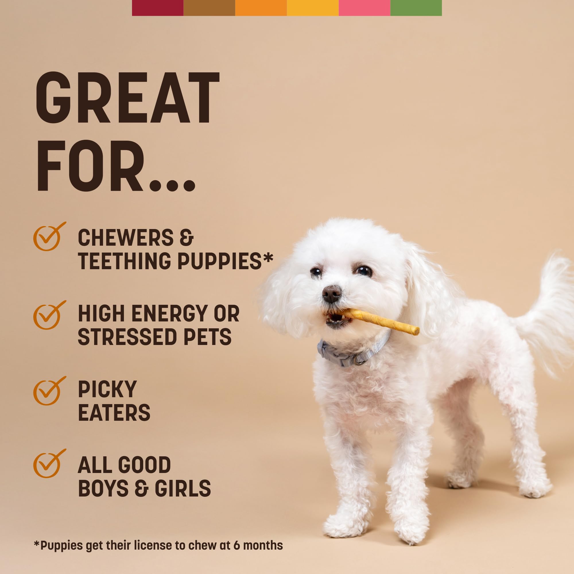Earth Animal No Hide Stix suitable for cats and dogs at home.
