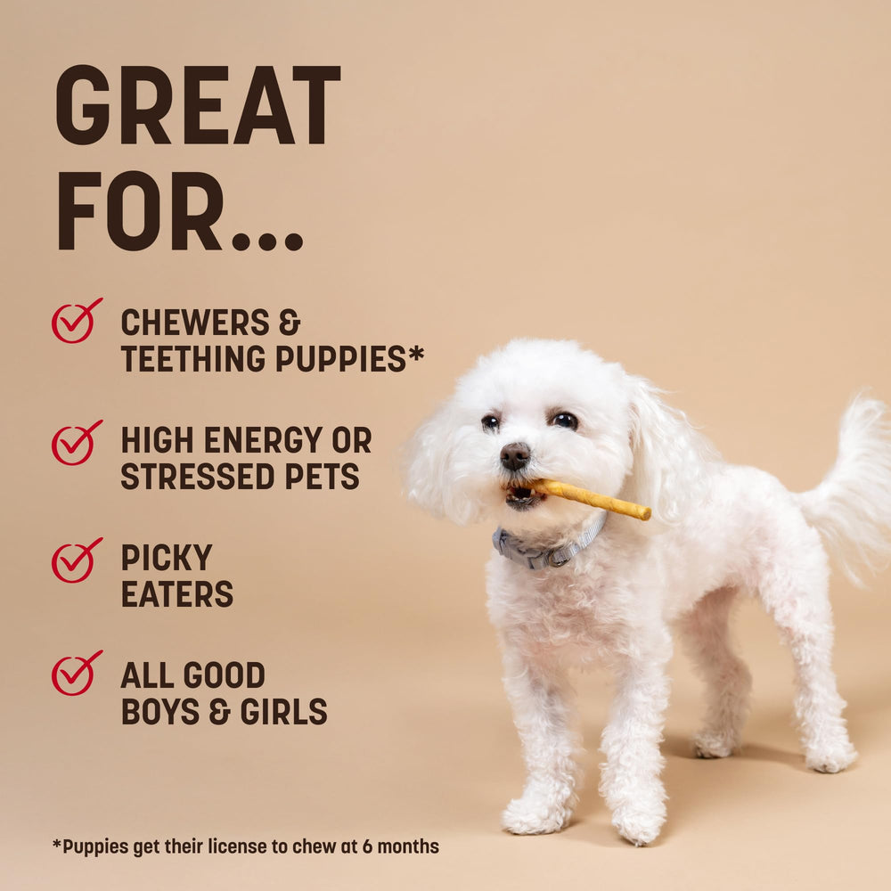 Earth Animal No-Hide Stix safety tips graphic emphasizes supervised chewing.
