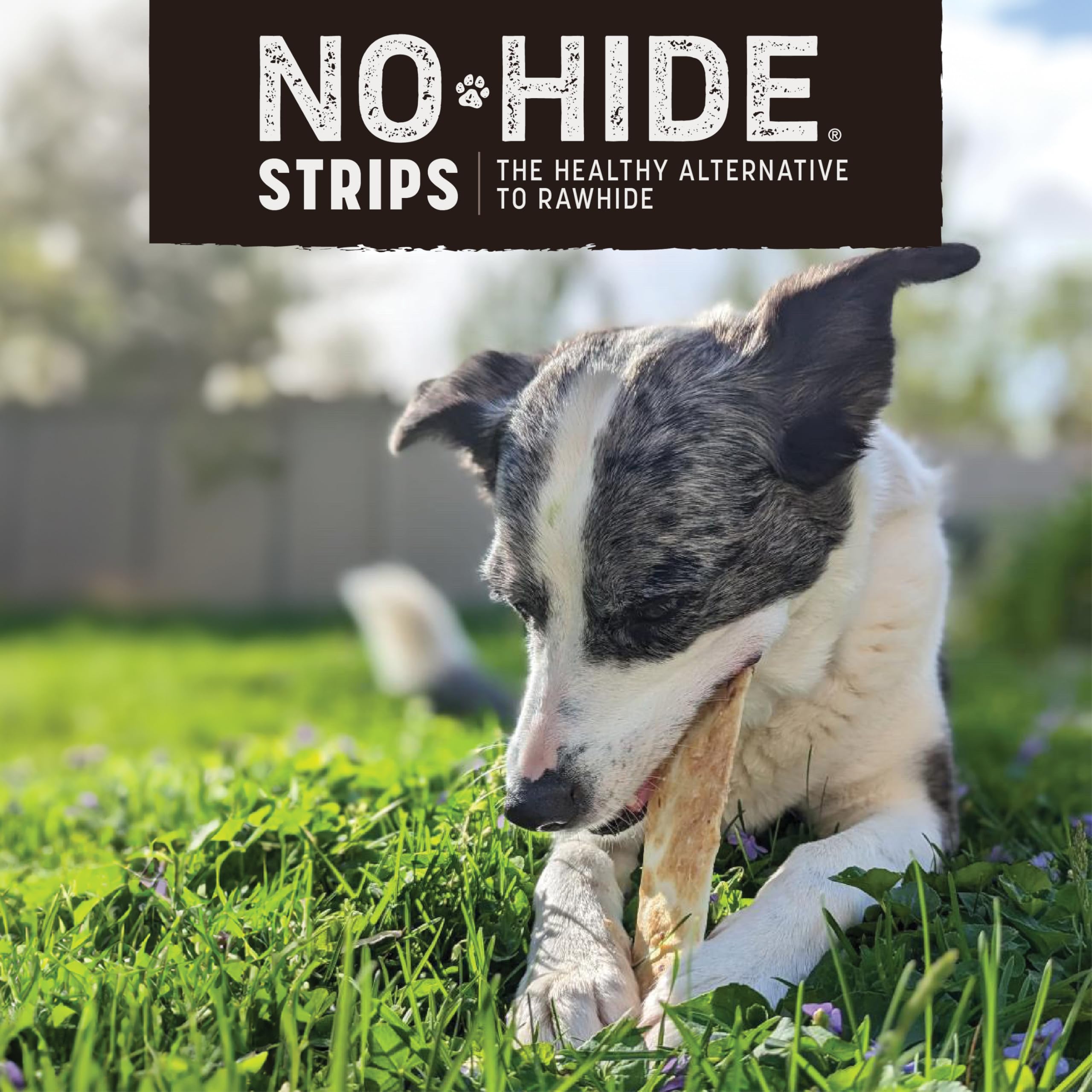 Earth Animal No-Hide Strips ingredients label image displays simple, wholesome base ingredients for mindful treats.