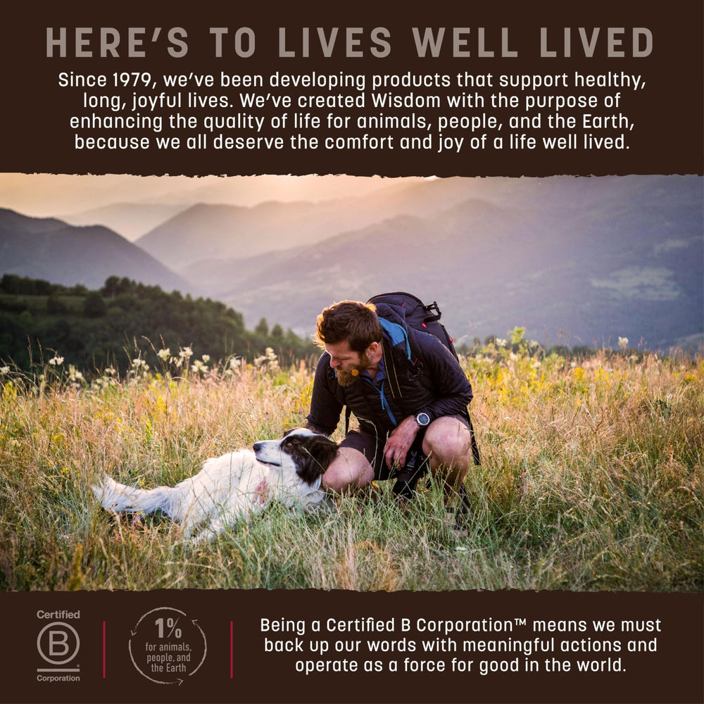 Earth Animal Wisdom air-dried dog food sardines close-up shows omega-rich protein.