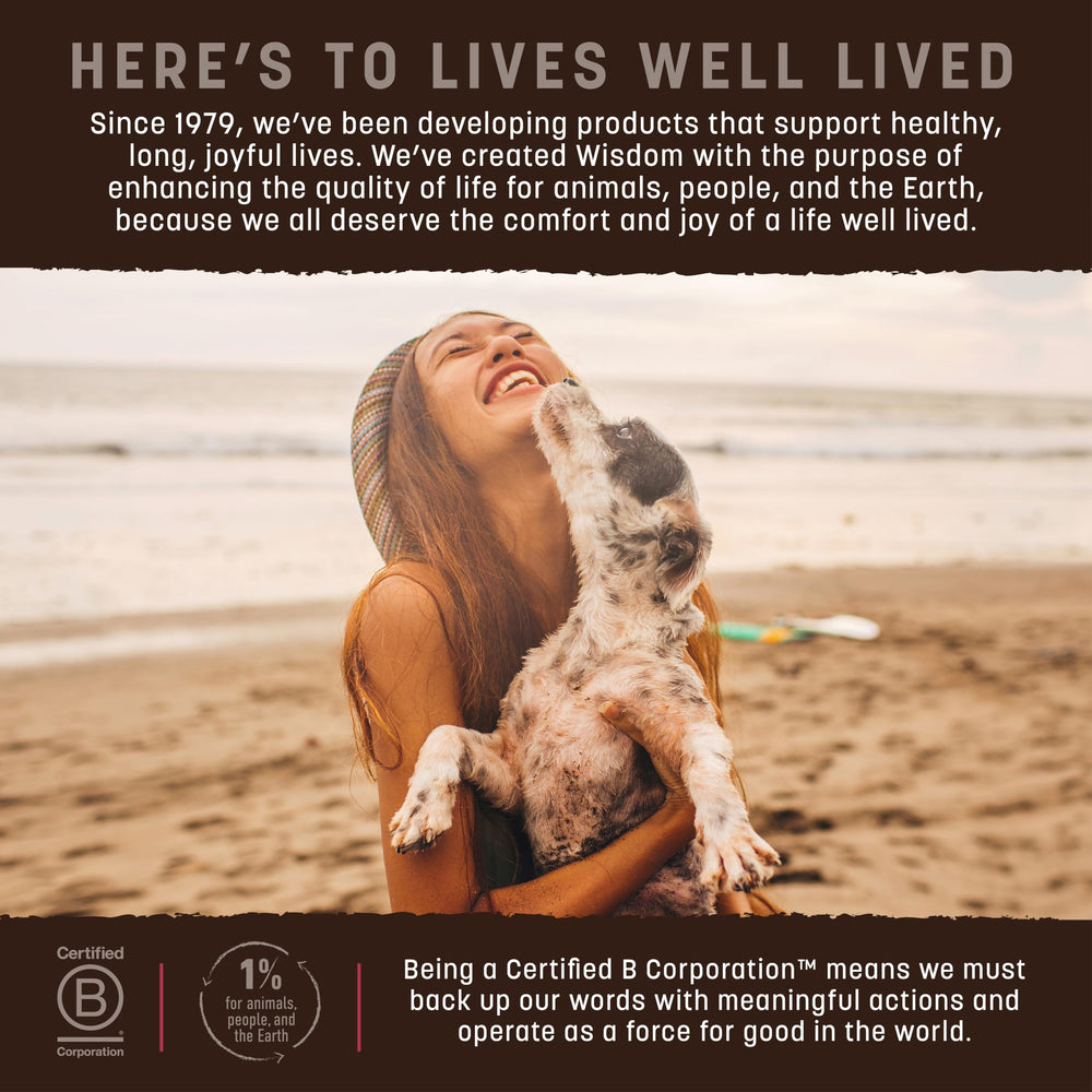 Earth Animal Wisdom Air Dried Jerky training use close-up with reward context.