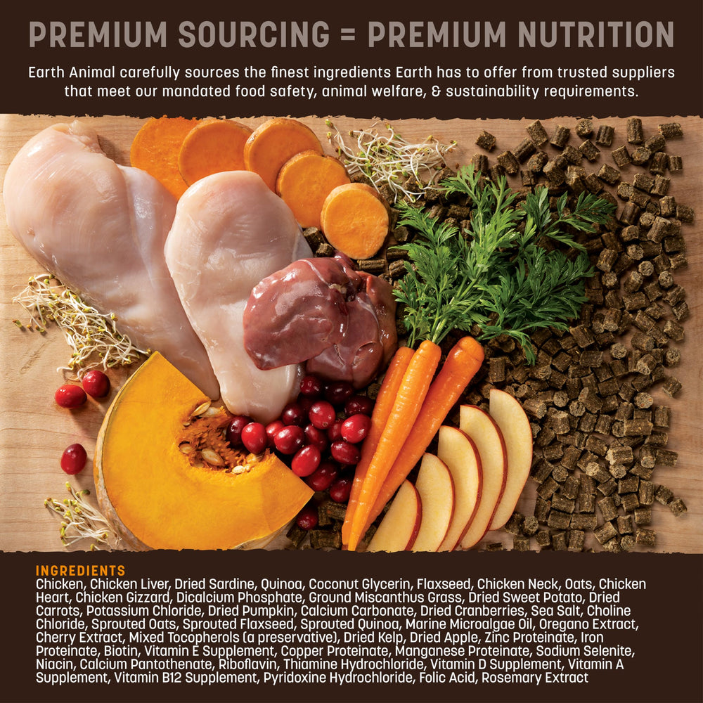 Earth Animal Wisdom ancient grains fruits and vegetables suggest balanced nourishment.