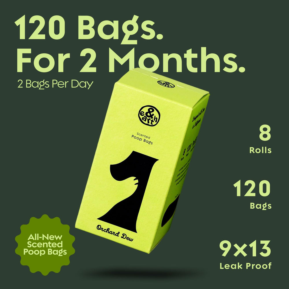 &earth eco-friendly bags with 65% recycled materials for mindful disposal.