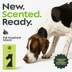 &earth fig-scented refill box offers long-lasting waste containment.