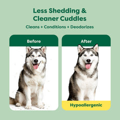 Earth Rated 3in1 dog shampoo and conditioner foaming action close-up.