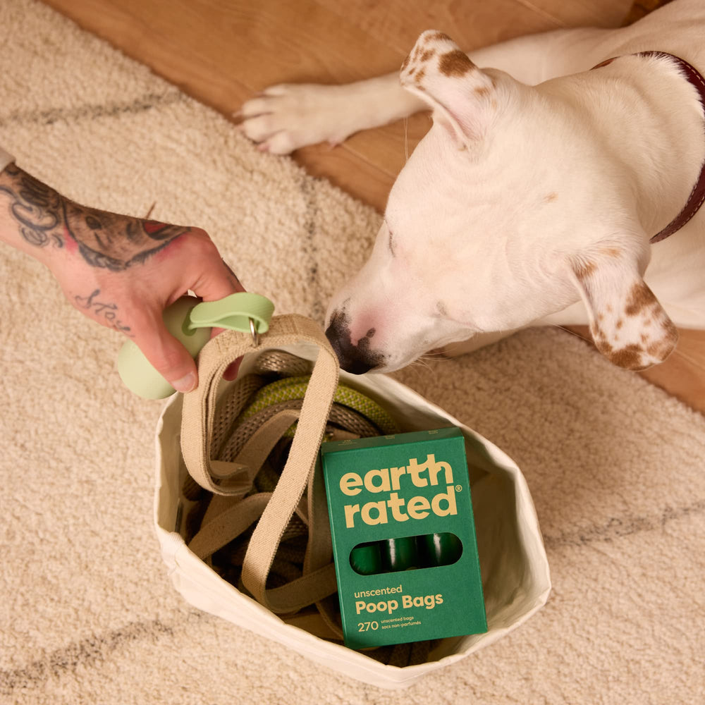 B Corp Certified Earth Rated brand mission image