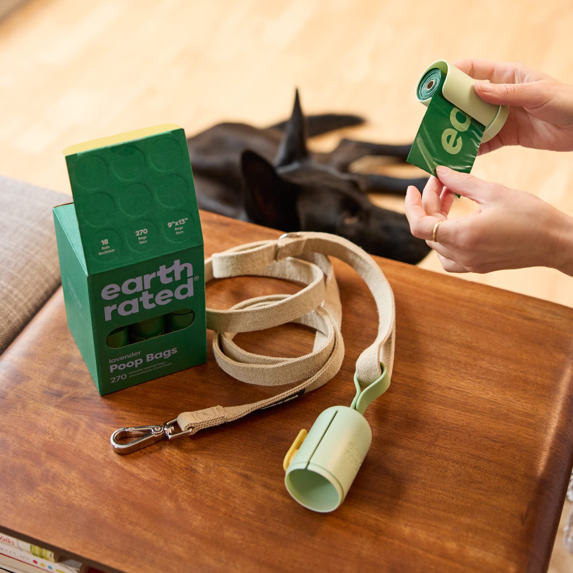 Diseño práctico para paseos y recogida de desechos de perros.