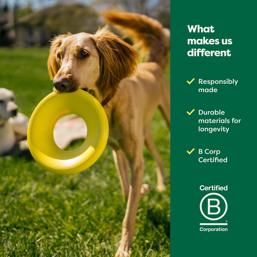Earth Rated Flying Disc promotes exercise and strengthens human-dog bonds during playtime.