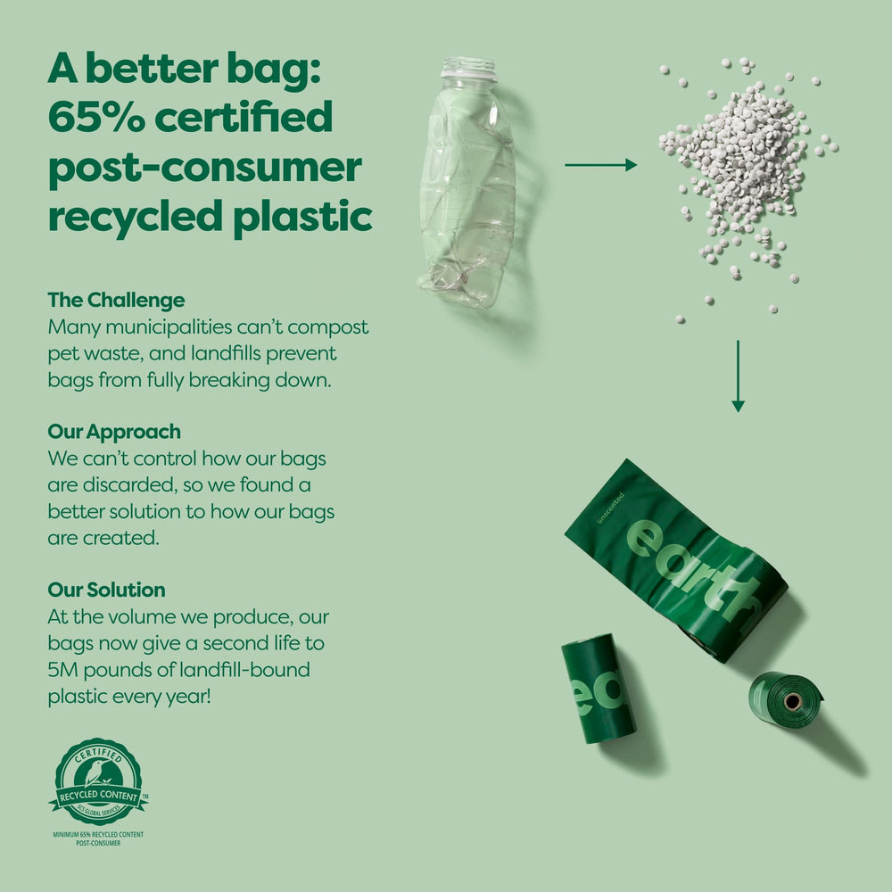 Earth Rated bag holder yellow hook keeps used bags tidy for hands-free disposal.