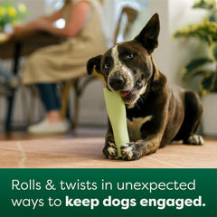 Earth Rated dog toy freezer snack ready shows frozen treats for extra thrills.