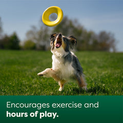 Earth Rated Flying Disc Toy yellow small-size design for compact pup play.