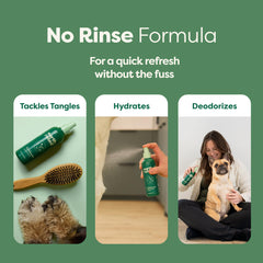 No-rinse foam being massaged into a dog's coat for conditioning.
