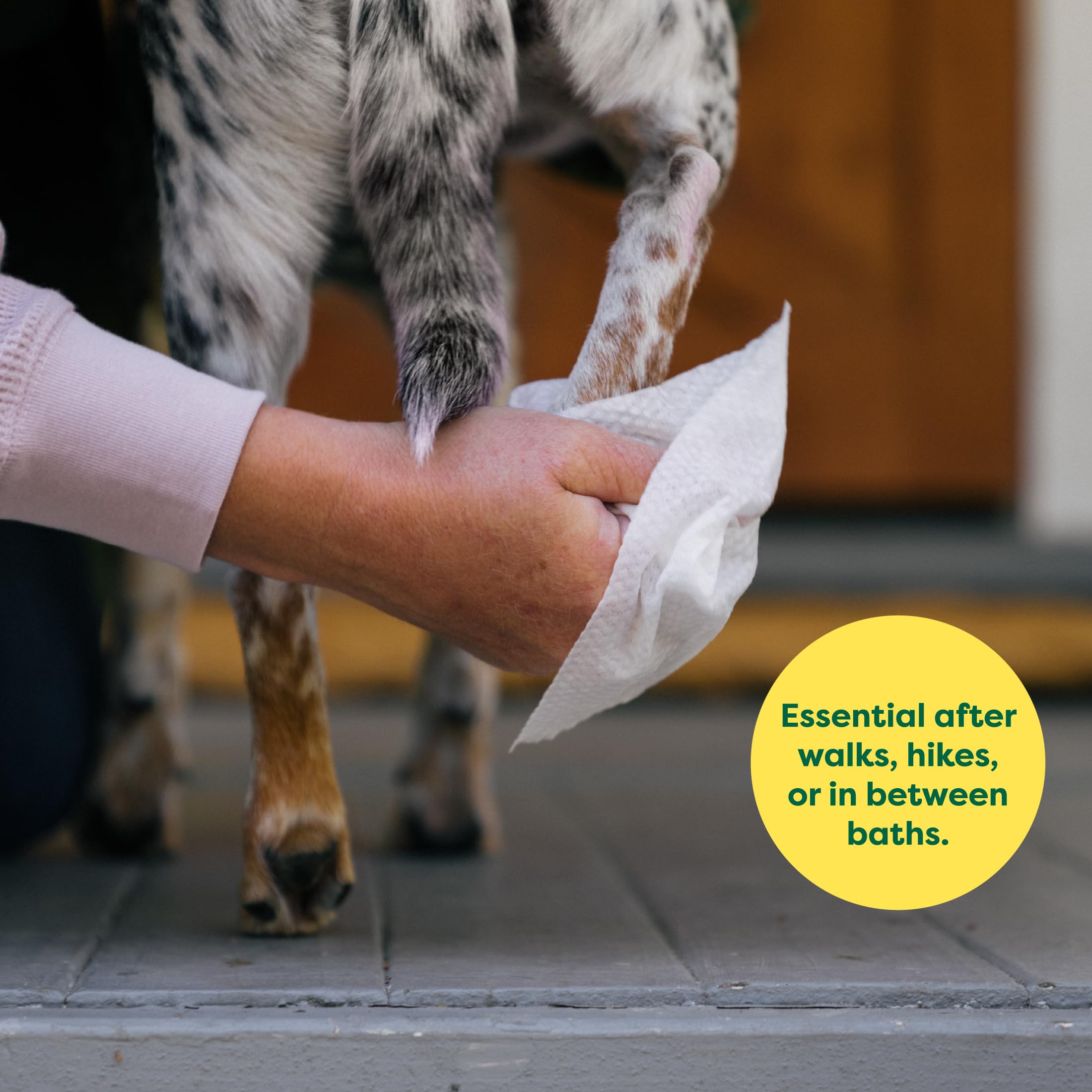 Earth Rated Pet Wipes butt cleaning to stay fresh between baths.