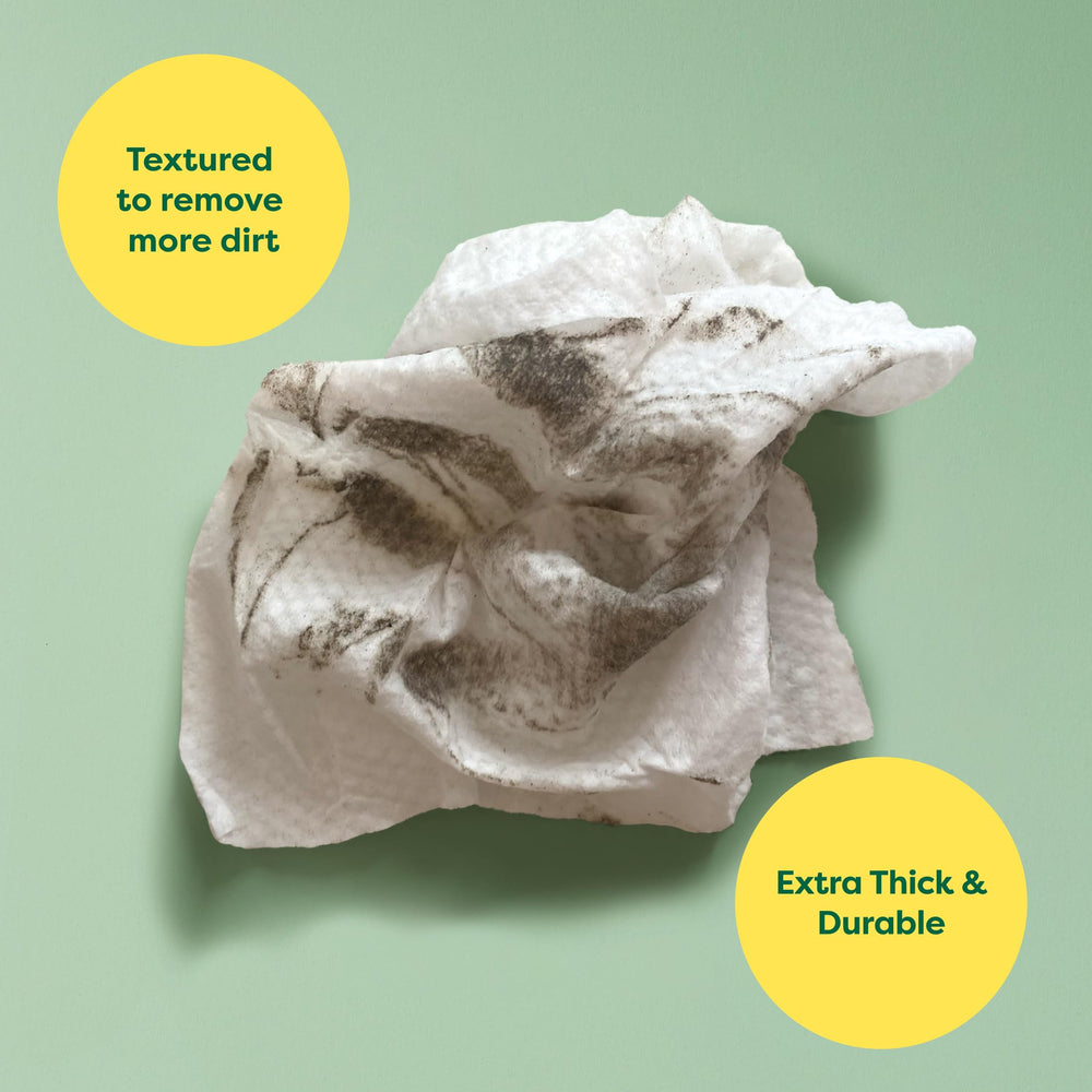 Earth Rated Pet Wipes unscented packaging suitable for odor-free grooming.