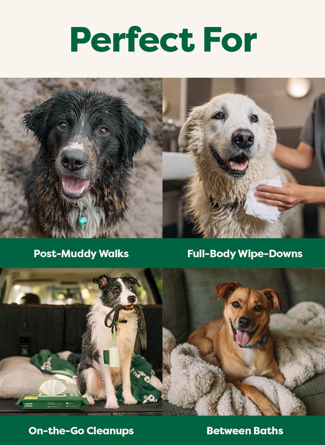 Earth Rated XL Pet Wipes hypoallergenic formula — gentle care that minimizes irritation.