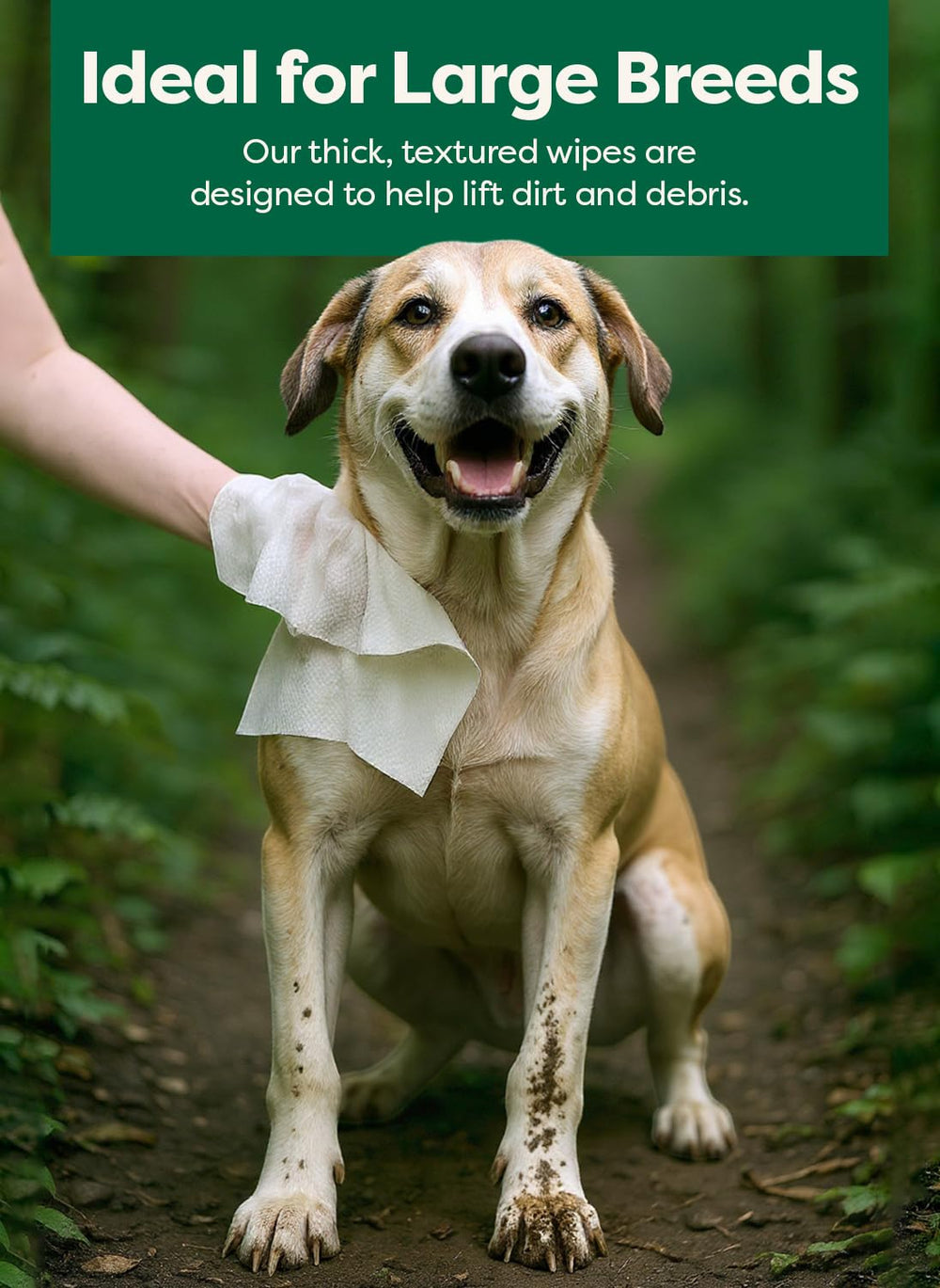 Earth Rated XL Pet Wipes large-mess dog — big coverage for heavy-duty cleanups.