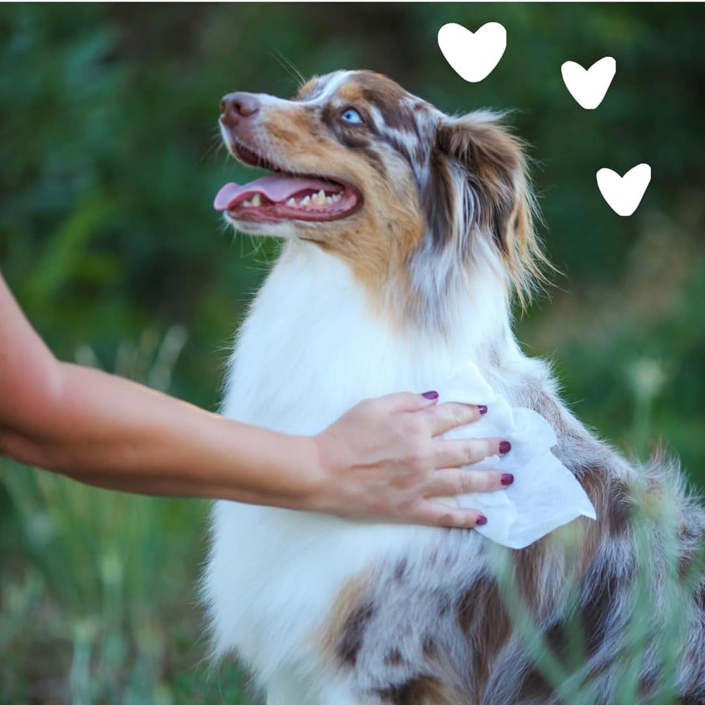 earthbath Dog Grooming Wipes safe for dogs and cats over six weeks.