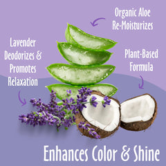 Earthbath Lavender Dog Shampoo lather demonstrates gentle cleansing for fresh coats